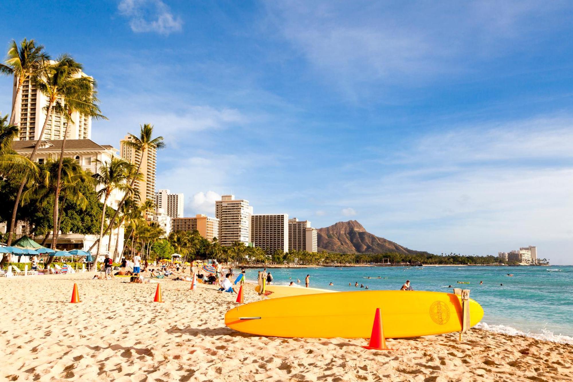 Beautiful Studio In The Heart Of Vibrant Waikiki Honolulu Eksteriør bilde
